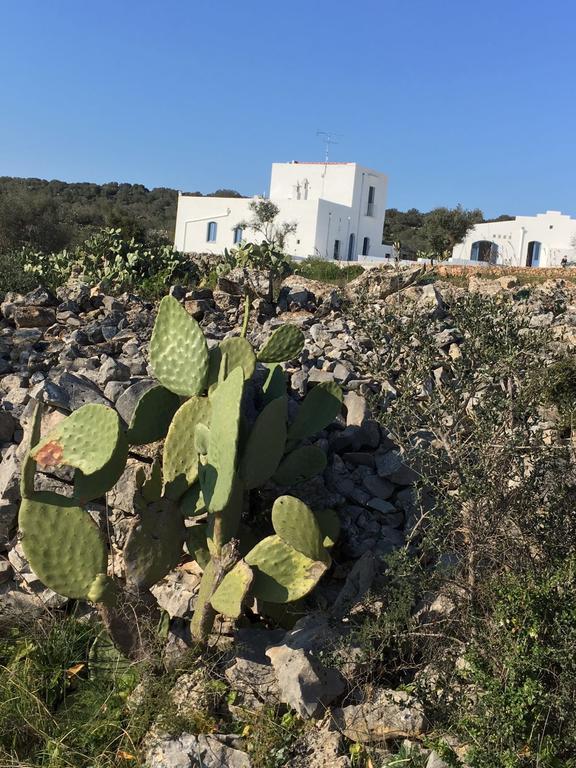 La Casa Di Gioia